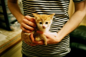 华体会hth-当基耶萨在世界排名的加时赛接管比赛，世界看到了足球的另一种可能