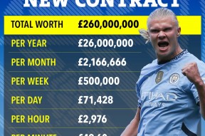 华体会登录-曼联力克波尔图,哈兰德乌龙送礼德甲的简单介绍