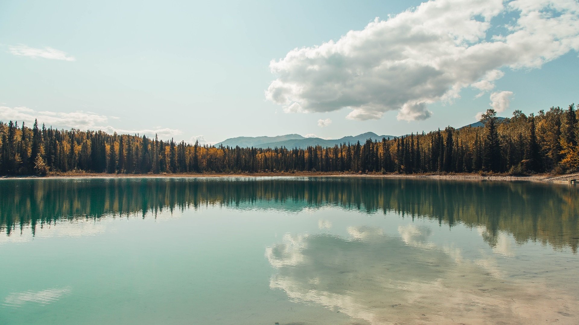 华体会官网-跨界收割，当辽宁铁骑遇上明尼苏达狼群  第1张
